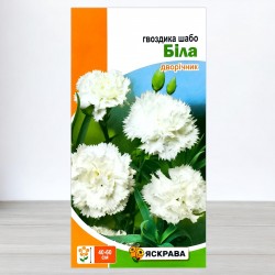 Насіння гвоздики Шабо Біла, 0,1г, ТМ Яскрава